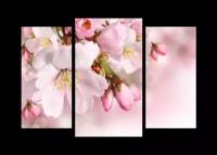 Модульная картина на холсте | Diva Kartina | Цветы. Весенние лепестки яблони | 70X49 см