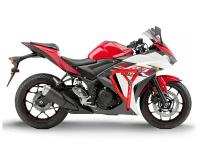 Клетка на мотоцикл YAMAHA YZF-R25 `15-`18, YZF-R3 `15-`18 CRAZY IRON серии PRO