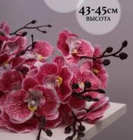 Букет искусственных орхидей 45 см на 5 веток, малиновый с белым