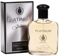 TODAY PARFUM Туалетная вода мужская Favorit Platinum, 100 мл