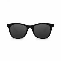 Солнцезащитные очки Xiaomi TS Turok Steinhardt Traveler Sunglasses Men (SM007-0220)