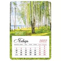 Календари Календарь отрывной на магните 95*135мм склейка OfficeSpace "Mono - Birch grove", 2022г