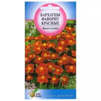 "Бархатцы (Тагетес отклонённый) Фаворит красные, 30 семян"