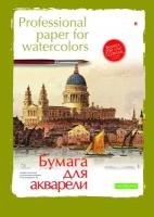 Папка для рисования акварелью ПРОФ, А2,8л, блок с хлопк, гознак 200гр,4-083