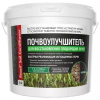 Удобрение Reasil Soil Conditioner для восстановления плодородия почв, 3 л, 3 кг, 1 уп