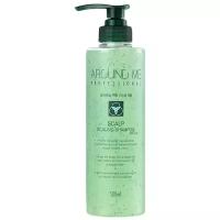 Отшелушивающий шампунь для волос и кожи головы Welcos Around Me Scalp Scaling Shampoo plus (500 мл)