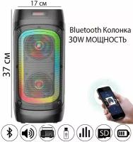 Портативная беспроводная Bluetooth (блютуз) колонка с караоке микрофоном, светомузыкой, переносной музыкальный центр большой мощности, радио и AUX