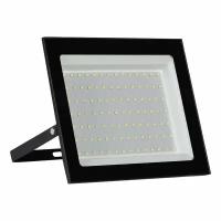 Прожектор светодиодный Smartbuy SBL-EFLLight-100-65K