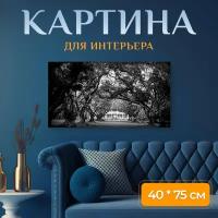 Картина на холсте "Черно белые фото, деревья, темный" на подрамнике 75х40 см. для интерьера