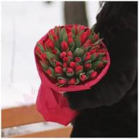 Цветы живые букет из 51 красного тюльпана в крафт-бумаге с атласной лентой