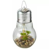 Декоративный подвесной светильник флорариум, теплая белая LED подсветка, пластик, батарейки, 23х14 см, Boltze