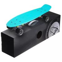 Пенни Борд Fish Skateboards 22" Бирюза