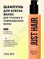 JUST HAIR Шампунь для блеска волос 250 мл