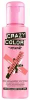 RENBOW Crazy Color Natural Краска для волос 31 (нейтральный, прозрачный)