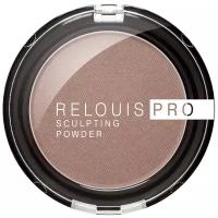 Relouis Пудра-скульптор Pro Sculpting Powder 01 universal