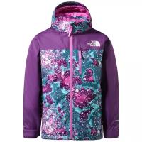 Куртка горнолыжная детская The North Face Snowquest Plus Jkt Y Dplgncnstlcmprt (INT:M)