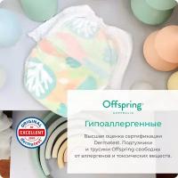 Offspring трусики L (9-14 кг), 36 шт., совы