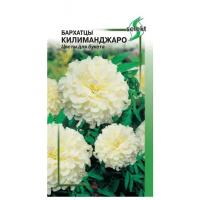 "Бархатцы (Тагетес прямостоячий) Килиманджаро, 35 семян"