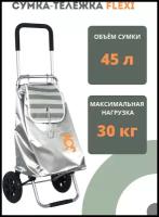 Сумка-тележка Joy Home, 45 л, 39.5х66х32 см, ручная кладь, серебряный