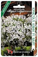 Семена Пеларгонии плющелистной ампельной "Кристал Квин Вайт" F1 (5 семян)