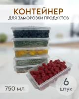 Комплект емкостей контейнеров для заморозки и хранения продуктов, объем 750 мл, 6 шт