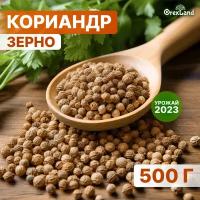 Кориандр зерно, семена кориандра 500 г (целый, в зернах), orexland