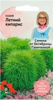 Кохия Летний кипарис 0,5 г, семена однолетних декоративных растений цветов для сада, однолетние декоративные растения для дачи и дома