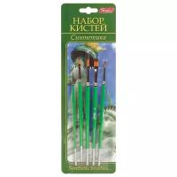 Hatber синтетика, с короткой ручкой (KSn_50902), 5 шт., блистер, зеленый