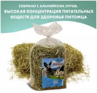 FIORY сено Альпийское Alpiland Camomile с ромашкой 500 г