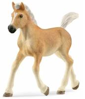 Фигурка Schleich Жеребенок Хафлингер