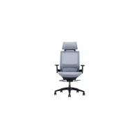 Ортопедическое офисное кресло Xiaomi 8H Youran No.1 Ergonomic Chair Excellent Blue (BY)