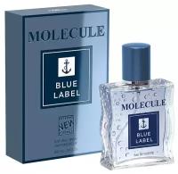 XXI CENTURY Molecule Blue Label туалетная вода 100 ml