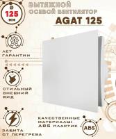 AGAT 125 вентилятор вытяжной 18 Вт с закрытой лицевой панелью диаметр 125 мм ZERNBERG