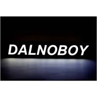 Табличка светодиодная на лобовое стекло с надписью DALNOBOY