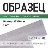 SPC ламинат Evofloor Optima Click - Дуб Серебряный - образец