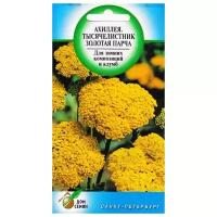 "Тысячелистник многолетний желтый Ахиллея, Золотая Парча, 270 семян"