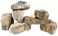 Набор камней GLOXY "Окаменелое дерево" разных размеров
