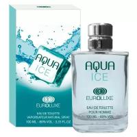 Euroluxe Туалетная вода для мужчин Aqua Ice (Аква айс) свежий, фужерный, спрей 100 мл