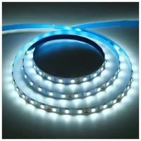 Светодиодная лента Ecola PRO. 12В. SMD5050. 5 м. IP20. 14.4Вт/м. 60 LED/м. 6000К 5501910