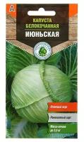 Семена Капуста белокочанная "Июньская" ранняя, 0,5 г