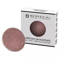 BESPECIAL Тени для век Dream Shadows в формате рефила, 1,6 г, DS-05