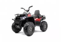 Квадроцикл Toyland XMX607 4WD, Карбон