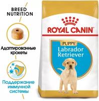 Royal Canin RC Для щенков Лабрадора: до 15мес. (Labrador Retriever puppy 33) 24910300R2 3 кг 11159 (2 шт)