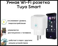 Умная розетка с Алисой Яндекс Tuya WiFi 16А – умный дом голосове управление