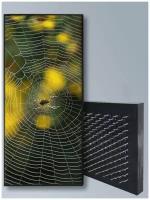 Доска Садху / Доска с гвоздями / Доска для Йоги / животные насекомые паук - 3005 / шаг 10мм
