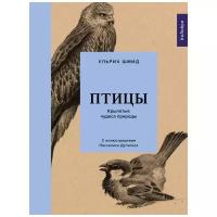 Птицы. Крылатые чудеса природы