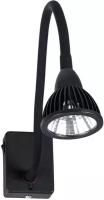 Светильник настенный Arte Lamp A4107AP-1BK