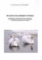 Водоплавающие птицы. В природе, зоопарках и на фермах: классификация, биология, методы содержания, болезни, их профилактика и лечение. Учебное пособие