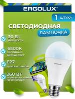 Светодиодная лампочка Ergolux LED-A70-30W-E27-6K