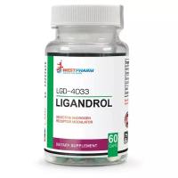 WestPharm Ligandrol Лигандрол 10 мг 60 капс